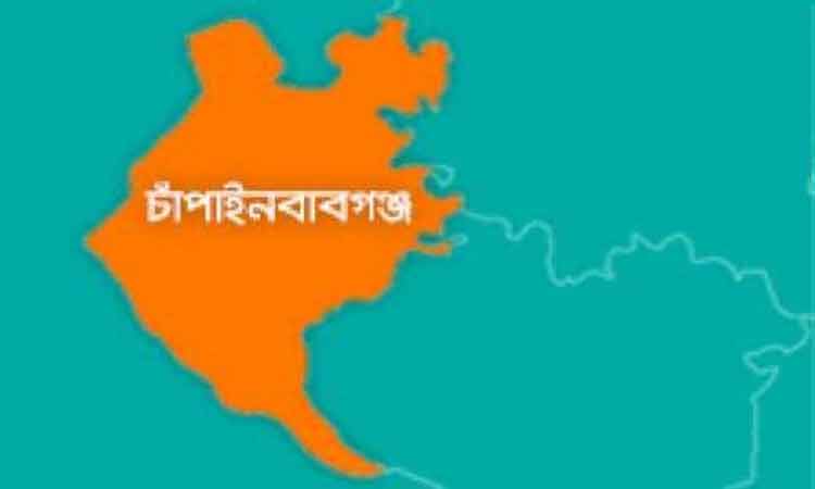 চাঁপাইনবাবগঞ্জে দু'টিতে বিএনপি, একটিতে আ.লীগ