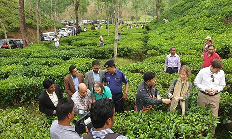 রোহিঙ্গাদের জন্য বিদেশি সাহায্য কমে গেছে : পররাষ্ট্রমন্ত্রী