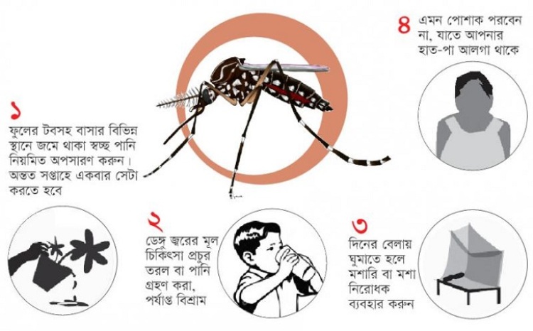 ডেঙ্গু জ্বর সচেতনতায় জানতে হবে আগে