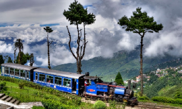 সবুজ চাদরে ঘেরা দার্জিলিং