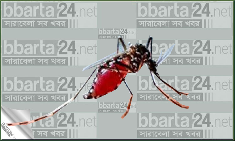 ময়মনসিংহে ডেঙ্গু কেড়ে নিল এক শিশুর প্রাণ