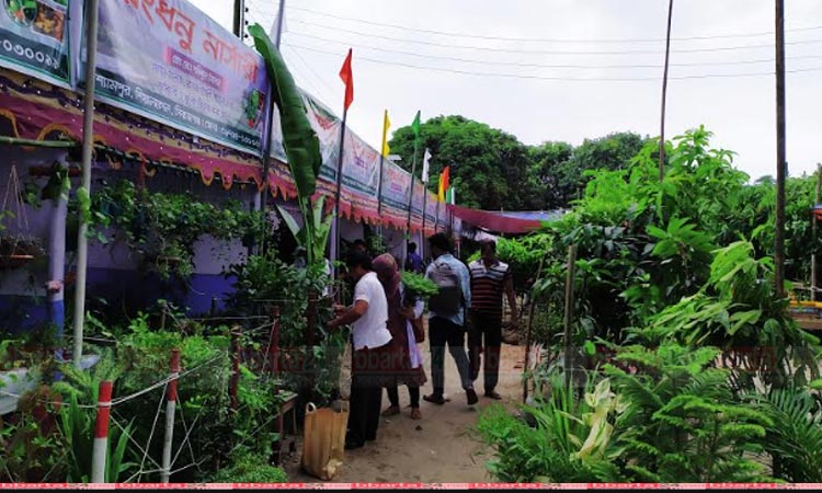 সিরাজগঞ্জে ১৫ দিনব্যাপী বৃক্ষ মেলা শুরু