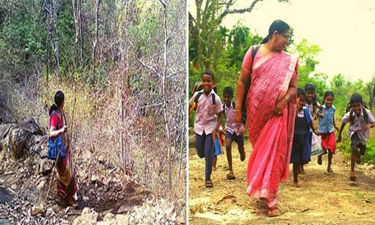 দুই ঘণ্টা জঙ্গলপথে হেঁটে স্কুলে যান শিক্ষিকা!