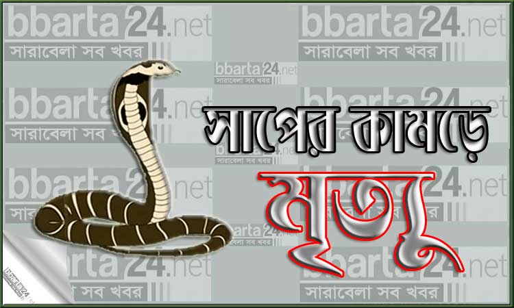 অন্যমনস্ক হয়ে সাপের ওপর বসে পড়েন তিনি, অতঃপর...