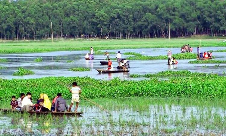 আসুরা বিলে নৌকাডুবে ৩ শিক্ষার্থীর মৃত্যু