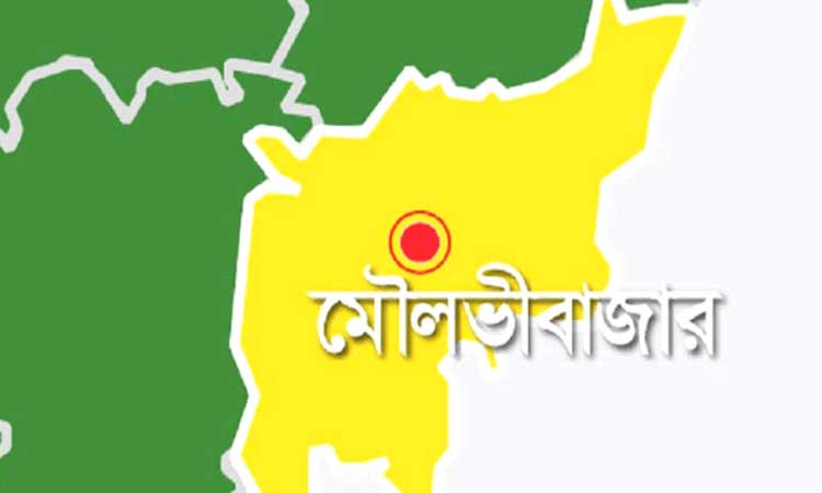 মৌলভীবাজারে সড়ক দুর্ঘটনায় শিশু নিহত