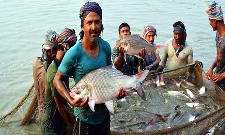 মাছ উৎপাদনে অষ্টম বাংলাদেশ