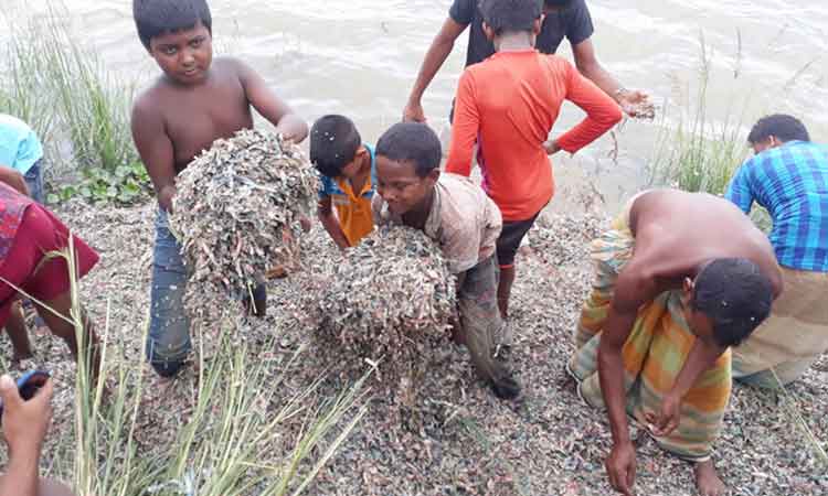 ময়লার ভাগাড়ে পড়ে আছে কয়েক বস্তা টাকা!