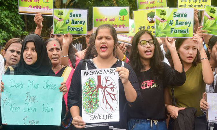 মুম্বাইয়ে বৃক্ষ বাঁচাতে গিয়ে আটক ৫৫