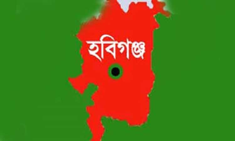 হবিগঞ্জে কিশোরীকে ধর্ষণ, গ্রেফতার ২