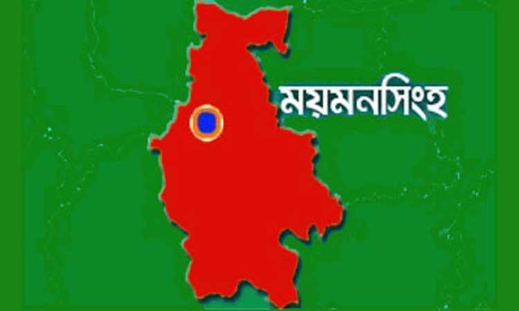 ময়মনসিংহে মাদকসহ আটক ২