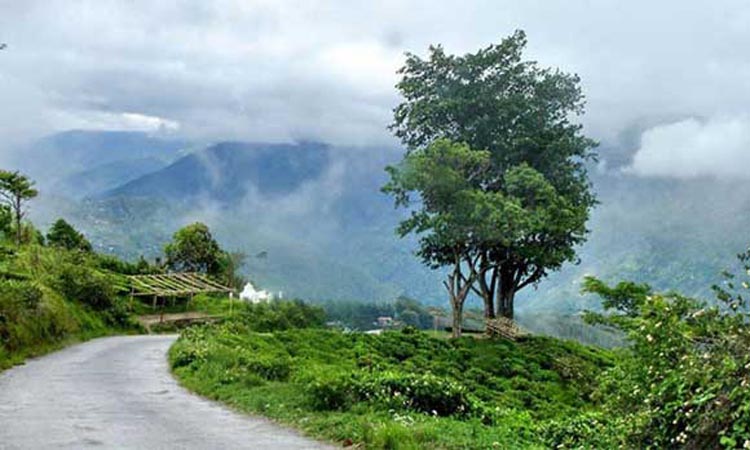 দার্জিলিং ও সিকিম যাওয়া যাবে বাসে