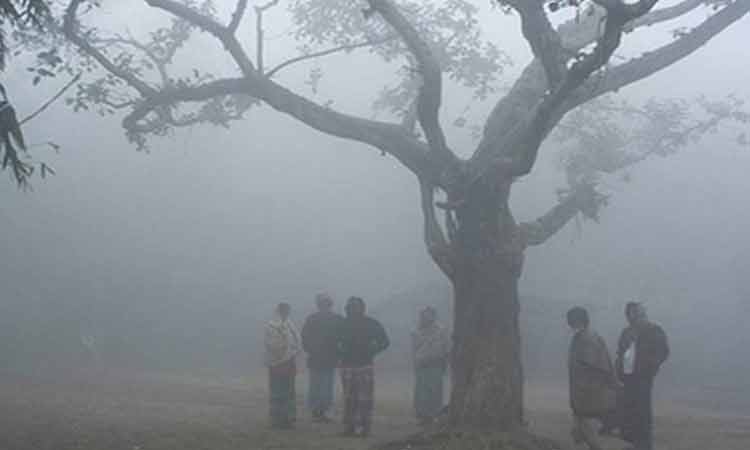 ঠাকুরগাঁওয়ে ফের শৈত্যপ্রবাহ, জনজীবন বিপর্যস্ত