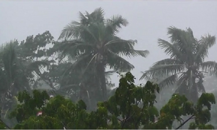 থমথমে সাতক্ষীরায় বৃষ্টির সঙ্গে বইছে দমকা হাওয়া