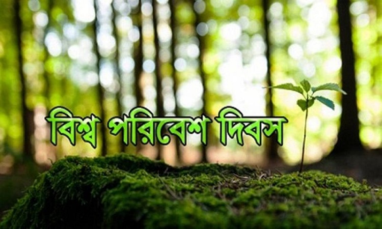 বিশ্ব পরিবেশ দিবস আজ