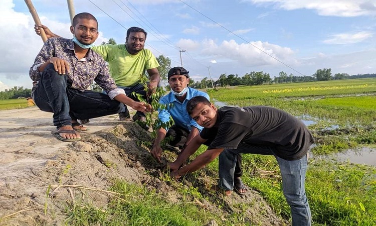 বগুড়ায় রাস্তার ভাঙন রোধে এইচবিএফের বৃক্ষরোপণ