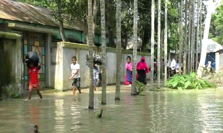 আবারো বাড়ছে যমুনা ধলেশ্বরী আর ঝিনাই নদীর পানি