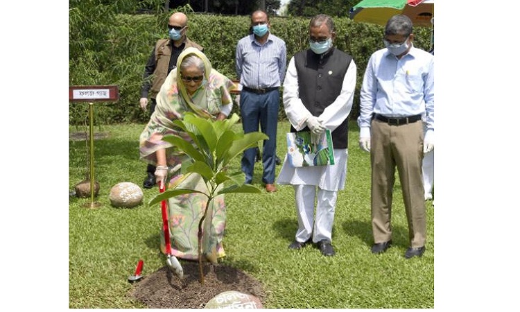 দেশ আবারো সমৃদ্ধির পথে এগিয়ে যাবে: প্রধানমন্ত্রী