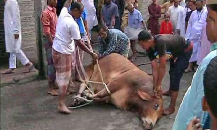 ঈদের দ্বিতীয় দিনেও চলছে পশু কোরবানি