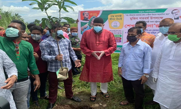 মুজিবশর্ত বর্ষ উপলক্ষে ডেমরা ও যাত্রাবাড়ীতে যুবলীগের বৃক্ষরোপণ