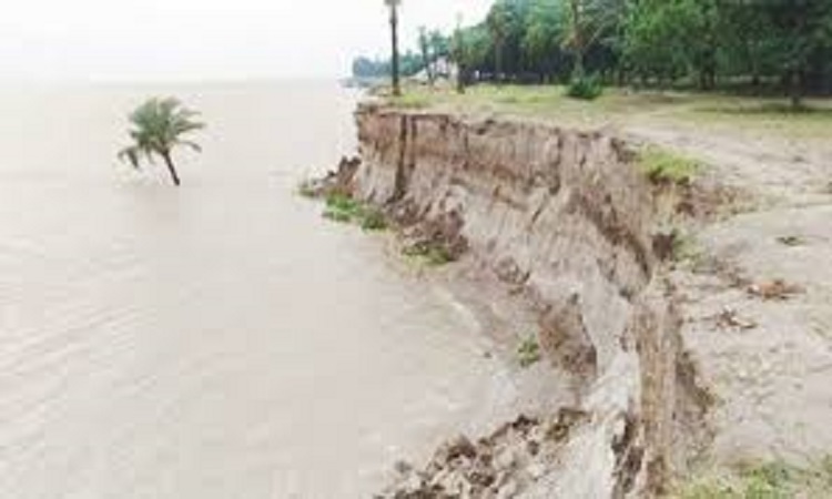 পদ্মায় কমছে পানি, বাড়ি ফিরছে বানভাসিরা