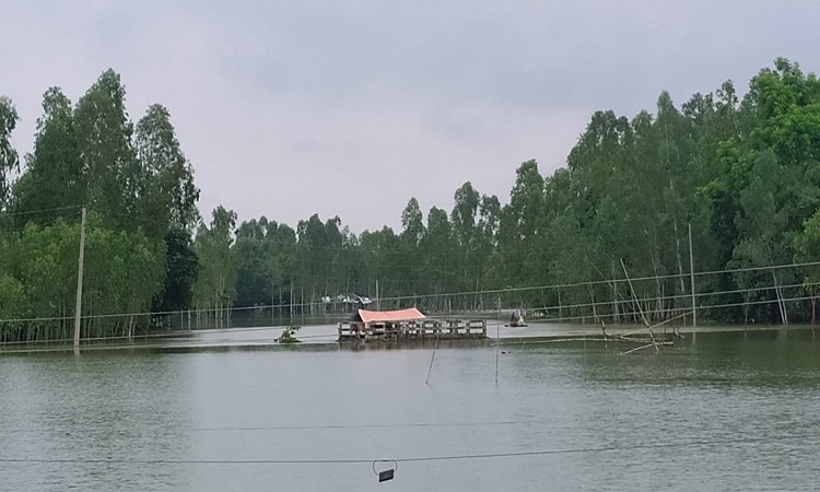 কুড়িগ্রামে ফের বন্যা