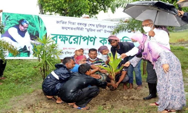 বশেমুরবিপ্রবিতে মুজিববর্ষ উপলক্ষে বৃক্ষরোপণ কর্মসূচি উদ্বোধন