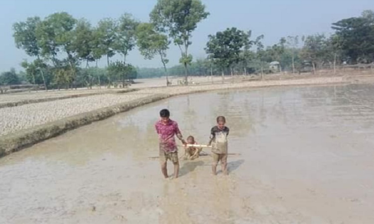 শিশু বয়সেই জীবনযুদ্ধে তিন ভাই