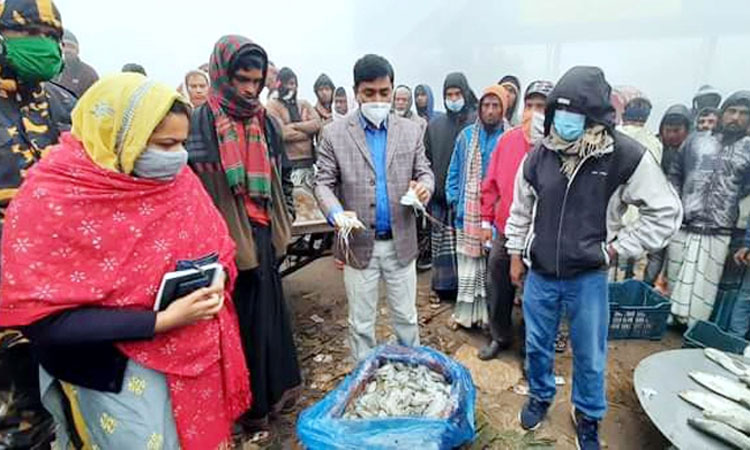 দৌলতদিয়া ঘাটে জেলিমিশ্রিত চিংড়ি ও জাটকা জব্দ