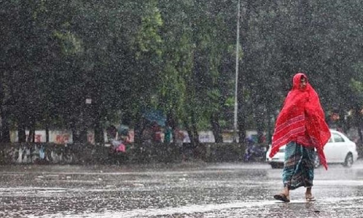 বুধবার থেকে নামবে বৃষ্টি, বাড়বে শীতের প্রকোপ