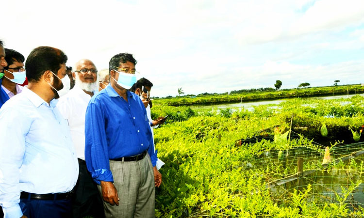 দেশের উপকূলীয় ও দক্ষিণাঞ্চলে কৃষিবিপ্লব ঘটবে: কৃষিমন্ত্রী