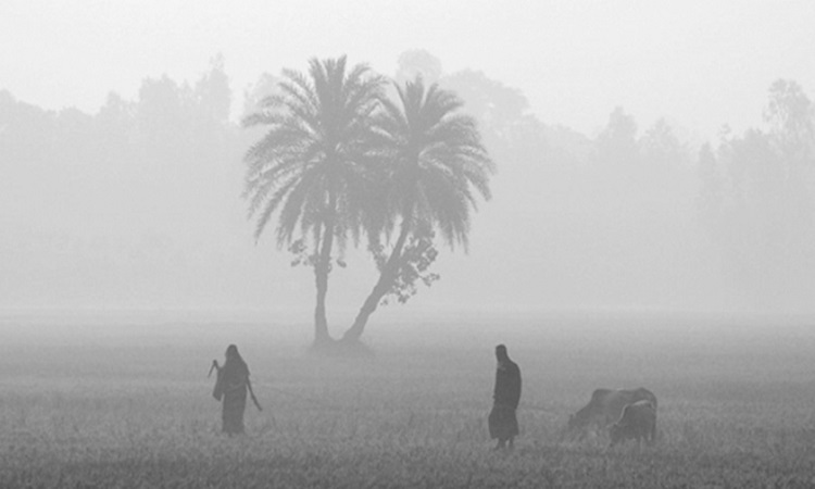 শৈত্য প্রবাহ আসছে , তাপমাত্রা নামবে ৬ ডিগ্রিতে