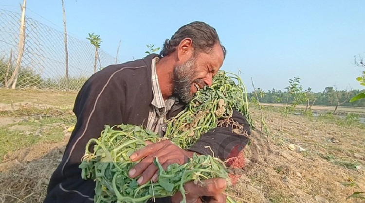 ক্ষমতার কাছে চোখের জল নস্যি