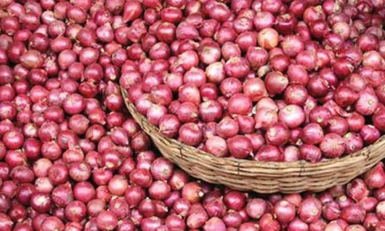 রবিবার থেকে প্রতি কেজি পেঁয়াজ ২০ টাকা