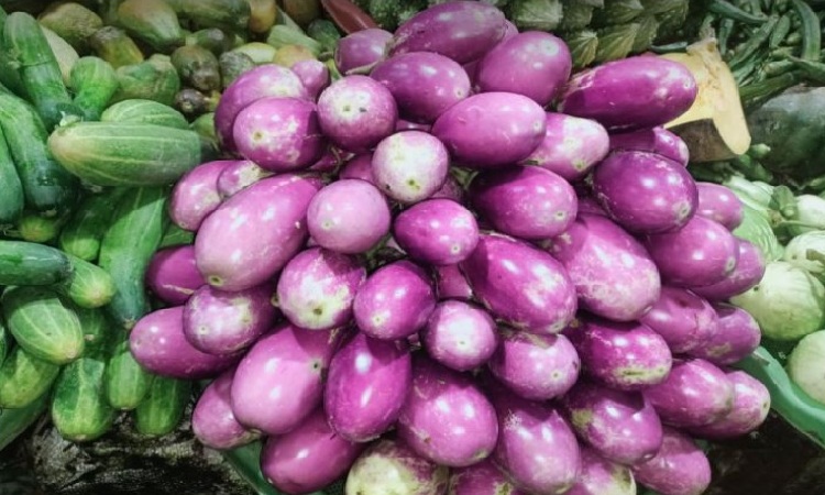 হিলিতে প্রতি কেজি বেগুন ৫ টাকা