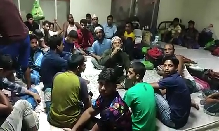 সৌদিতে ২৫০ বাংলাদেশি শ্রমিকের মানবেতর জীবনযাপন