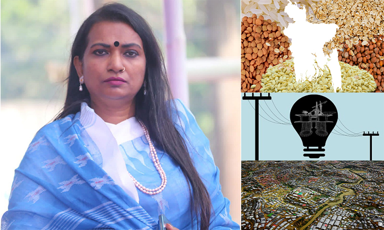 সংকট মোকাবিলায় শেখ হাসিনার ভূমিকা
