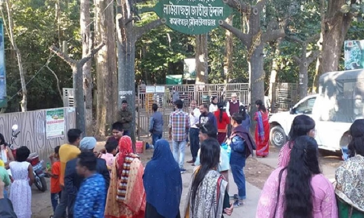 ছুটিতে পর্যটকের ঢল মৌলভীবাজারে
