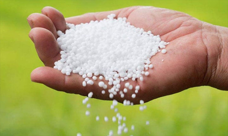 ৬০ হাজার টন টিএসপি ও ইউরিয়া সার কিনবে সরকার