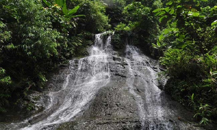 পাথর নয়; পাথুরে-জলে পাথারিয়া