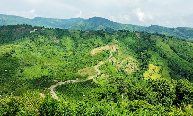 জঙ্গিদের প্রশিক্ষণের ফুটেজ যাচাই-বাছাই, শনাক্ত ৩২