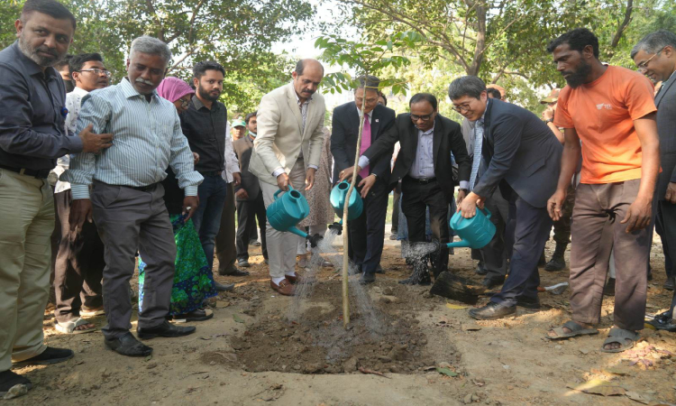 বৃক্ষ রোপণ কার্যক্রম উদ্বোধন মেয়র আতিকের