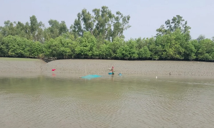 সুন্দরবনের কোল ঘেঁষে কয়রা