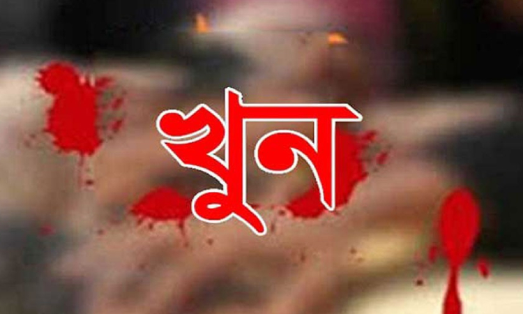 বড় ভাইয়ের হাতে ছোট ভাই খুন