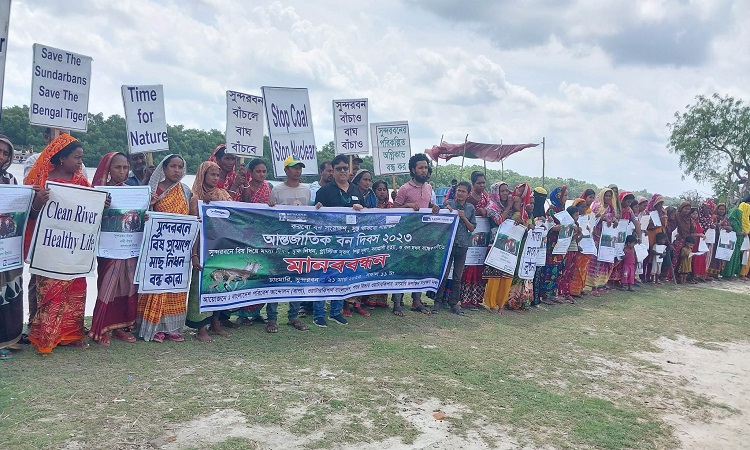 প্রভাবশালীদের অবৈধ বাণিজ্য আর শিল্প দূষণে আক্রান্ত সুন্দরবন