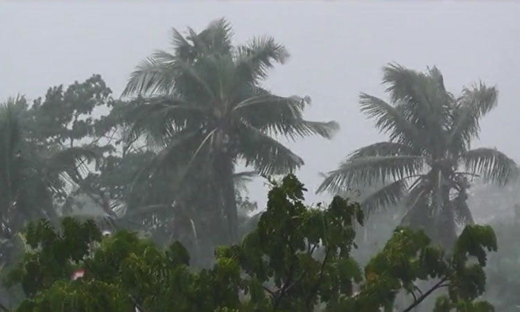 ঢাকাসহ ৮ বিভাগে বৃষ্টির পূর্বাভাস, কমতে পারে তাপমাত্রা