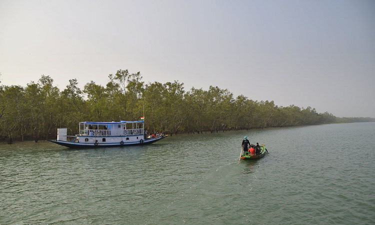 সুন্দরবনে ৩ মাস পর্যটক প্রবেশে নিষেধাজ্ঞা