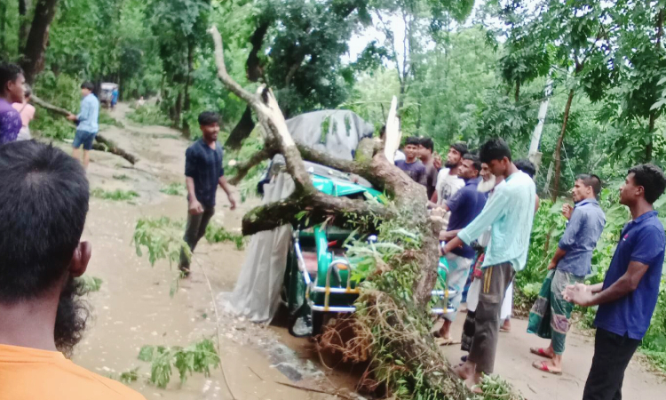 হঠাৎ ঝড়ে লণ্ডভণ্ড দুর্গাপুরের ঘরবাড়ি