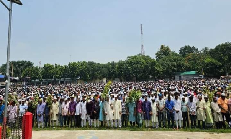 বাবা-মার কবরের পাশে চির নিদ্রায় শায়িত হলেন সাংসদ আব্দুল কুদ্দুস