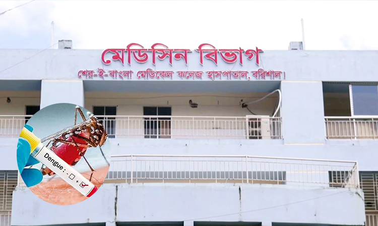 ডেঙ্গুতে বরিশালে দুজনের মৃত্যু, হাসপাতালে ভর্তি ২৫৪